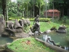 comp_IMG_4178