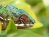 comp_DSC03070