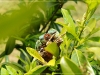 comp_DSC03108