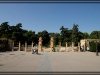 comp_DSC07412